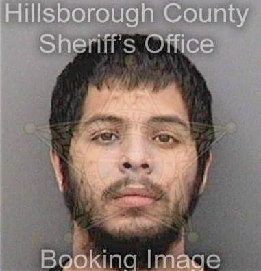 Aroldo Vasquezvasquez, - Hillsborough County, FL 