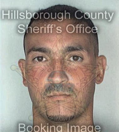 Mark Bittner - Hillsborough County, FL 