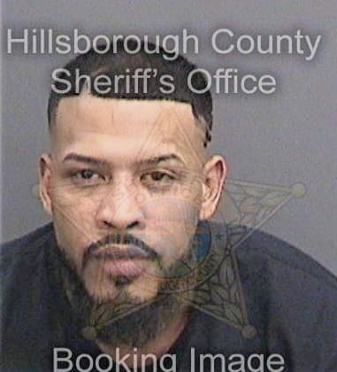 Douglas Brown, - Hillsborough County, FL 