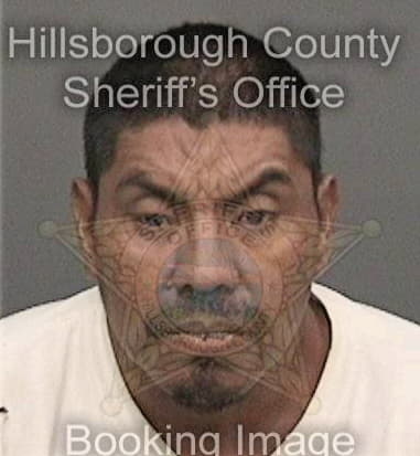 Adrian Dominguezsanchez, - Hillsborough County, FL 