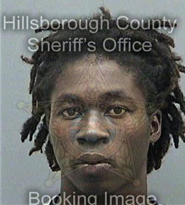 Drelly Elmore, - Hillsborough County, FL 