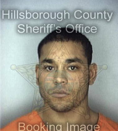 Ricardo Guerrero, - Hillsborough County, FL 