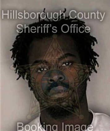 Jermaine Laneair, - Hillsborough County, FL 