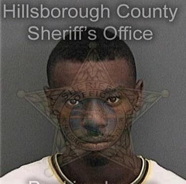 Treston Lewis, - Hillsborough County, FL 