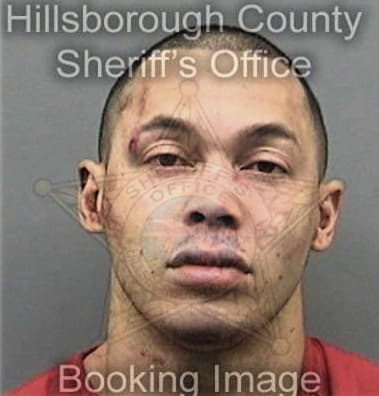 Hampton McCoy - Hillsborough County, FL 