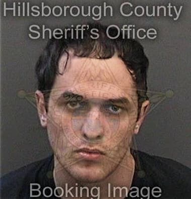 David Pongracz, - Hillsborough County, FL 