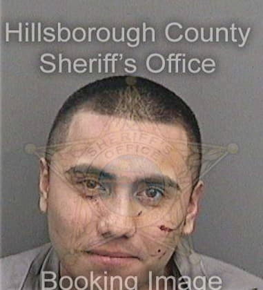 Oscar Ariasfuentes, - Hillsborough County, FL 