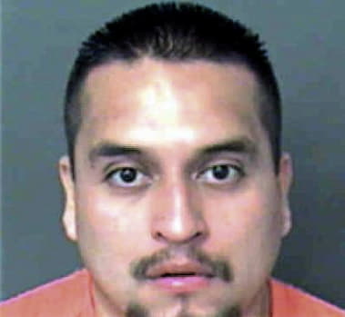 Fernando Castaing - Mecklenburg County, NC 