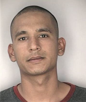 Brian Cockerill - Hillsborough County, FL 