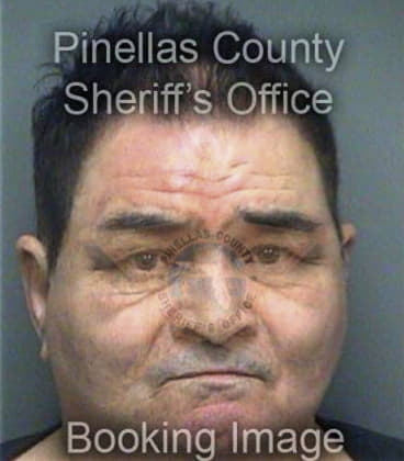 Francisco Lopez, - Pinellas County, FL 