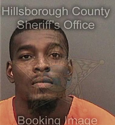 John Mills - Hillsborough County, FL 