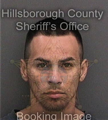 Ramon Perezseda, - Hillsborough County, FL 