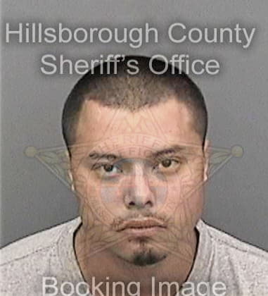 Elvis Quiles, - Hillsborough County, FL 