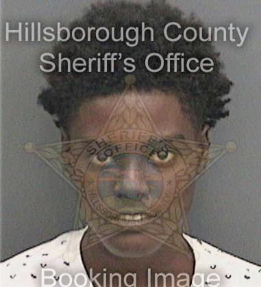 Shaneka Simmons, - Hillsborough County, FL 