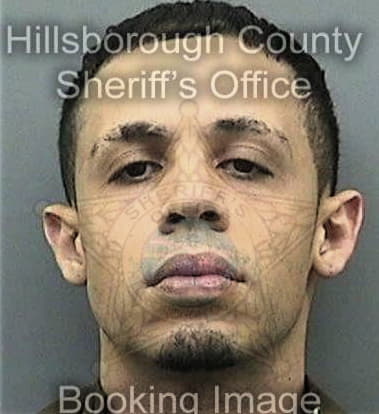 Chandrapaul Singh, - Hillsborough County, FL 