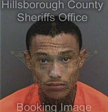 Mackenson Stlouis, - Hillsborough County, FL 