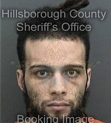 Alejandro Flores-Canales, - Hillsborough County, FL 