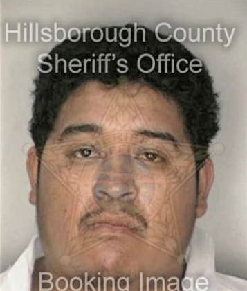 Markk McNish - Hillsborough County, FL 
