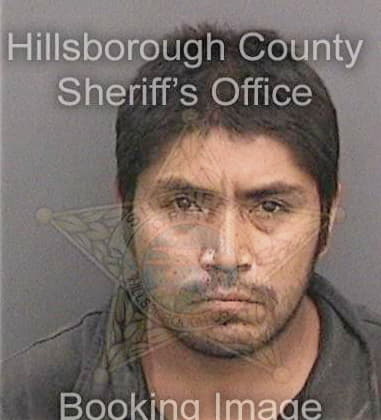Dana Mills - Hillsborough County, FL 