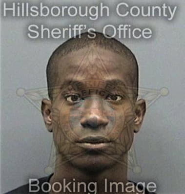 Wterrence Nelson, - Hillsborough County, FL 