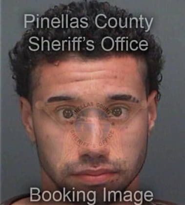 Hector Rivera, - Pinellas County, FL 