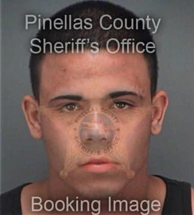 Lorenzo Vergaraisidro, - Pinellas County, FL 