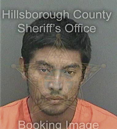 Anthony Alvarez, - Hillsborough County, FL 