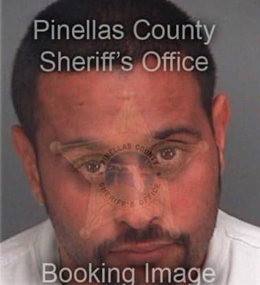 Randall Arthur, - Pinellas County, FL 