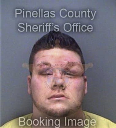 Robert Costello, - Pinellas County, FL 