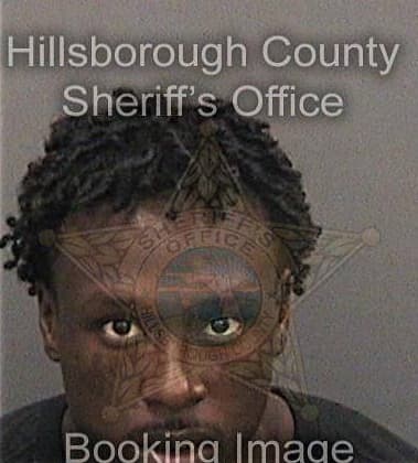 Ronale Johnson, - Hillsborough County, FL 