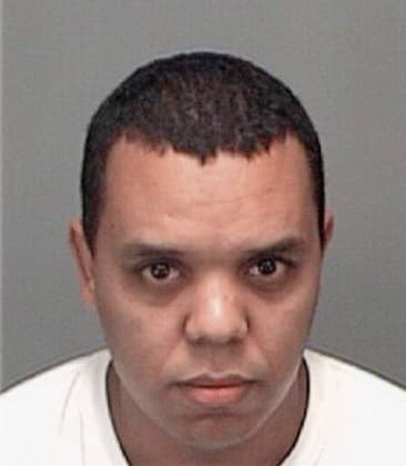 Julio Ortegaperez, - Pinellas County, FL 