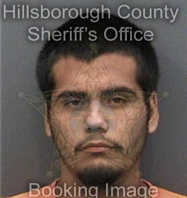 Michael Sester, - Hillsborough County, FL 