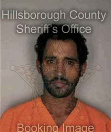 Dale Clemons - Hillsborough County, FL 