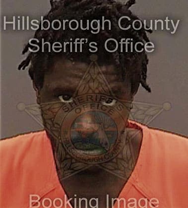 Kymani Kerr, - Hillsborough County, FL 