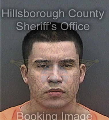 Pedro Molina, - Hillsborough County, FL 