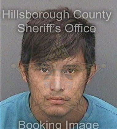 Bryan Mullins, - Hillsborough County, FL 