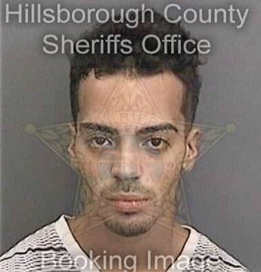 Jeremy Nicholas, - Hillsborough County, FL 