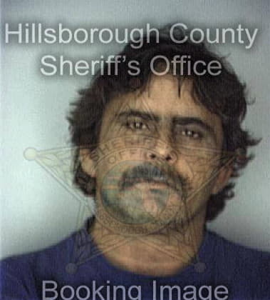 Ronald Visokay, - Hillsborough County, FL 