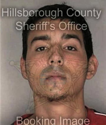 Michael Will - Hillsborough County, FL 
