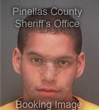 Adam Actipis, - Pinellas County, FL 