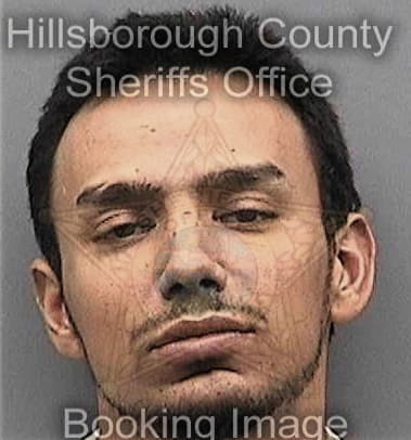 Saul Alvarado, - Hillsborough County, FL 