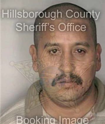 Michael Dilucchio, - Hillsborough County, FL 