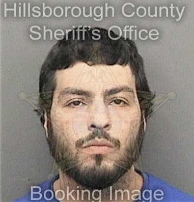 David Michel - Hillsborough County, FL 