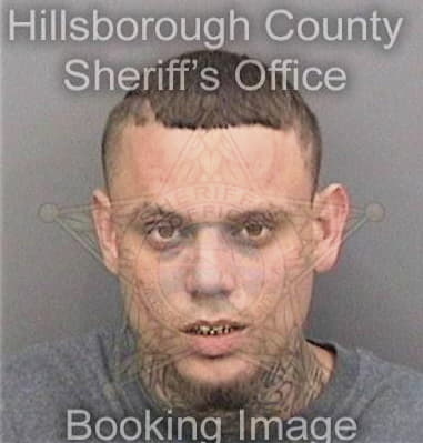 Norberto Moralesrodriguez, - Hillsborough County, FL 