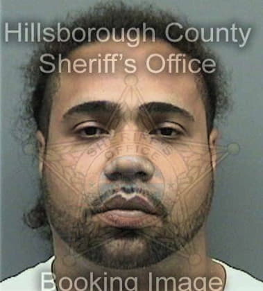 Santos Ortiz, - Hillsborough County, FL 