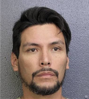 Reinaldo Perez-Farinas, - Broward County, FL 