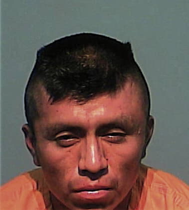 Jose Rojas-Garcia, - Columbia County, FL 