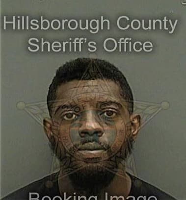 Michael Vaughns, - Hillsborough County, FL 