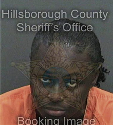 Tyeshaa Vinson, - Hillsborough County, FL 