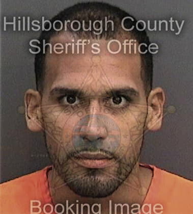 Pablo Curbelo, - Hillsborough County, FL 